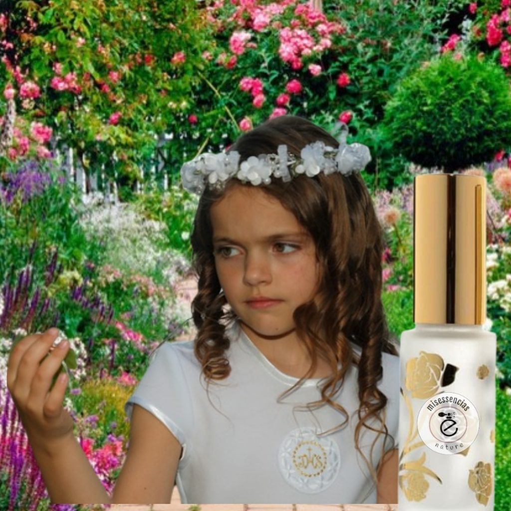 I 905 acordes similares petite mama