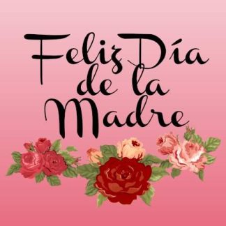 DIA DE LA MADRE